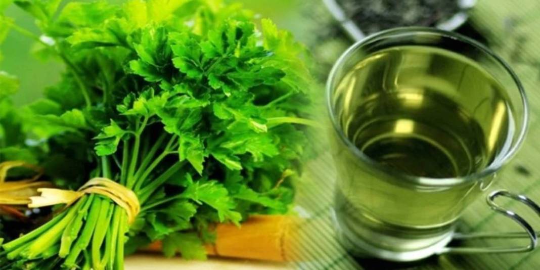 Sabahları aç karnına 1 bardak! Sindirim, cilt, zihin… Vücudu resmen resetliyor 4